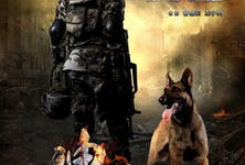 神犬奇兵电视剧,忠诚守护，战火炼心